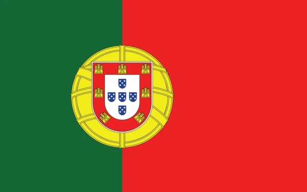Portekizce Tercüme